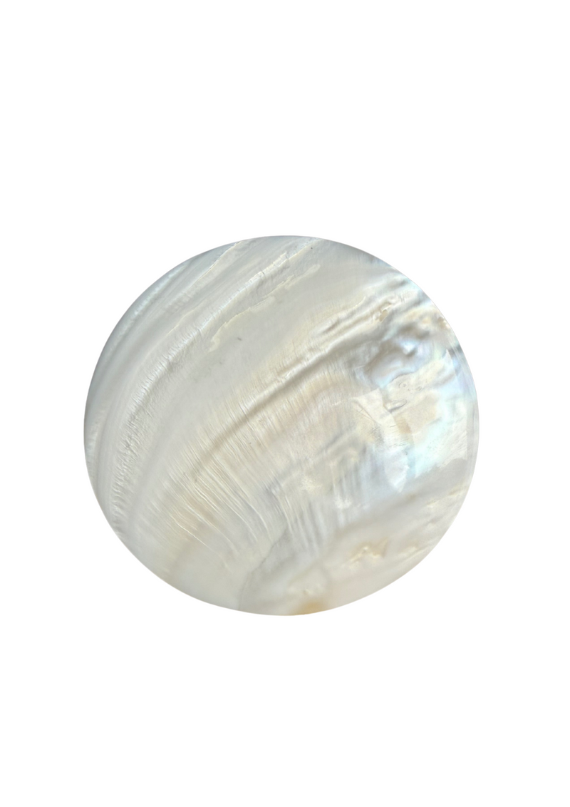 Shell Buckle